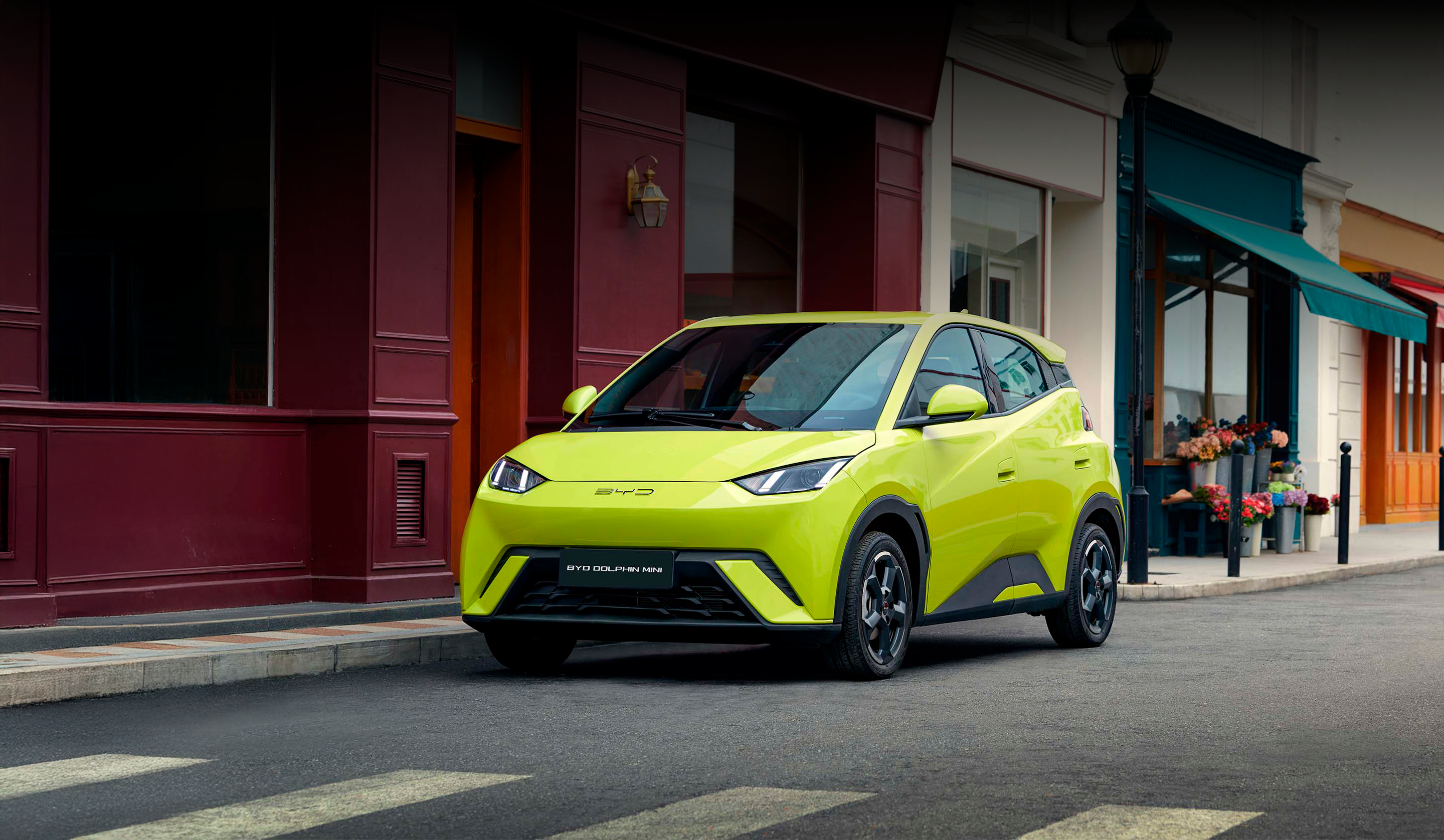 asiagame DOLPHIN MINI