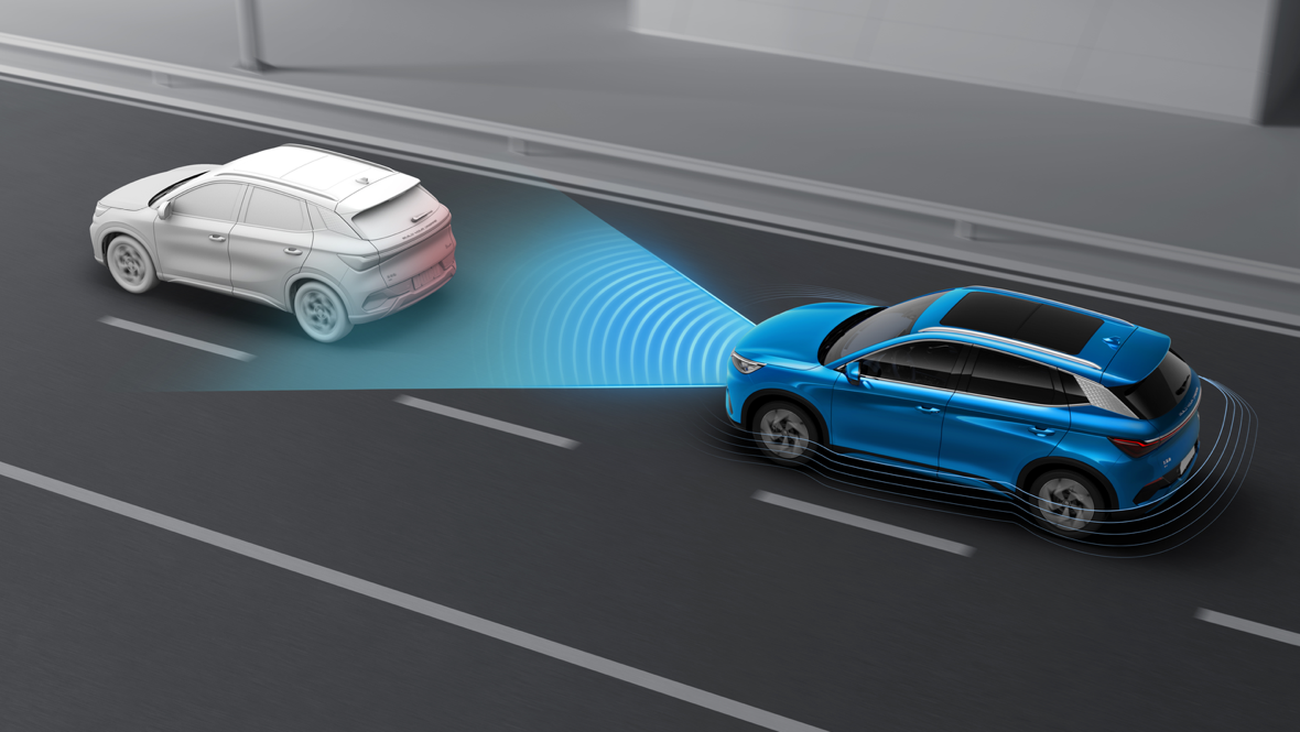 Domina cada movimiento